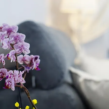 Lejlighed Casa Floriana Castello